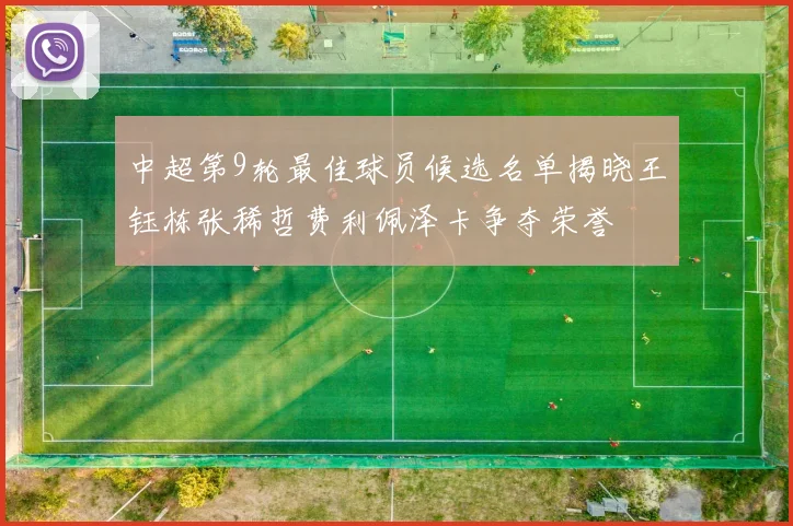 中超第9轮最佳球员候选名单揭晓王钰栋张稀哲费利佩泽卡争夺荣誉